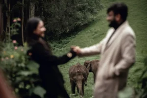 pre wedding shoot in kashmir