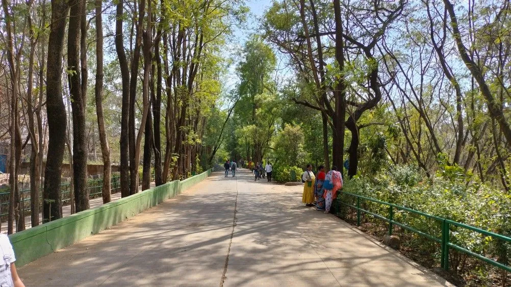 Rajiv Gandhi Zoological Park Pune Pre Wedding Shoot Location