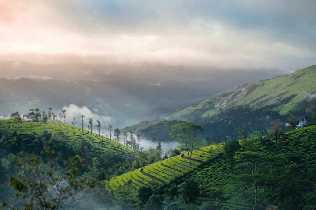 Vagamon